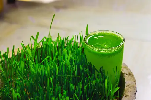 wheat grass powder / Juice