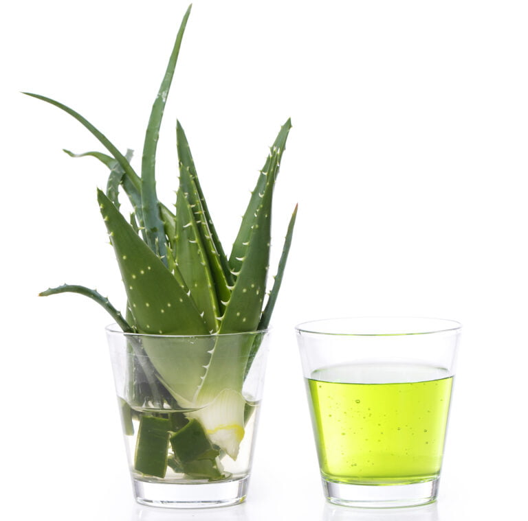 aloe vera juice with lemon and honey for weight loss